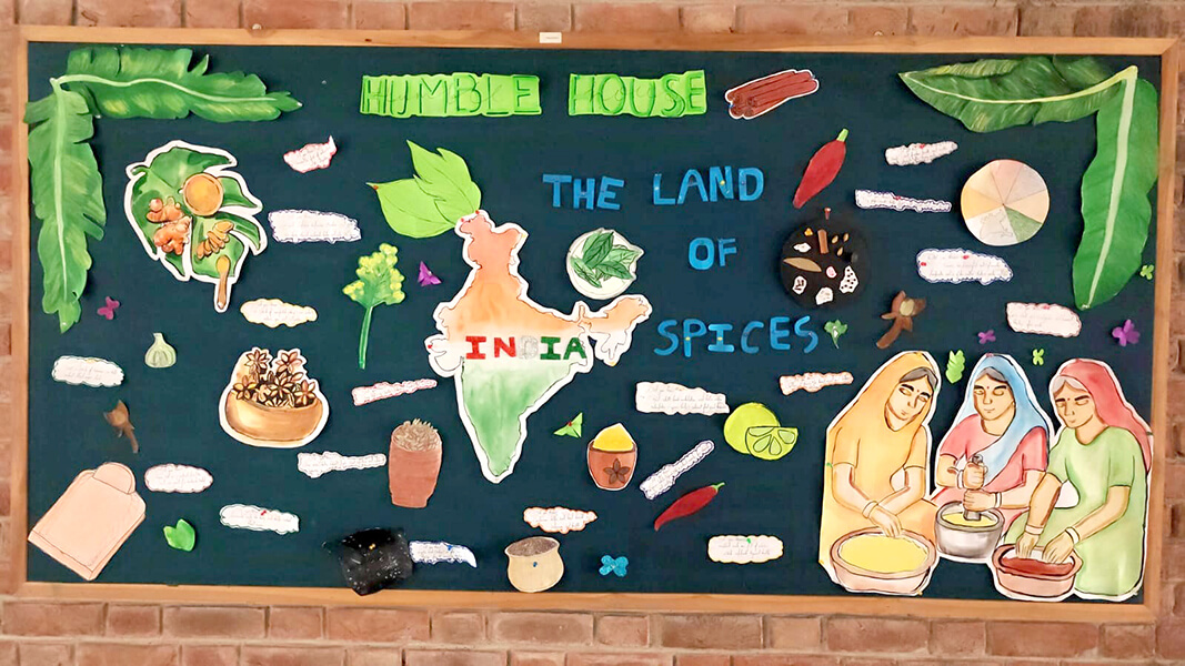 Soft Board Decoration Competition