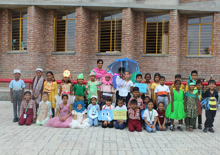 Inter House Competition - Life Cycle of a plant