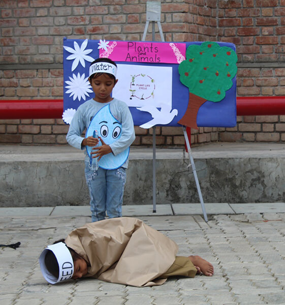 Inter House Competition - Life Cycle of a plant