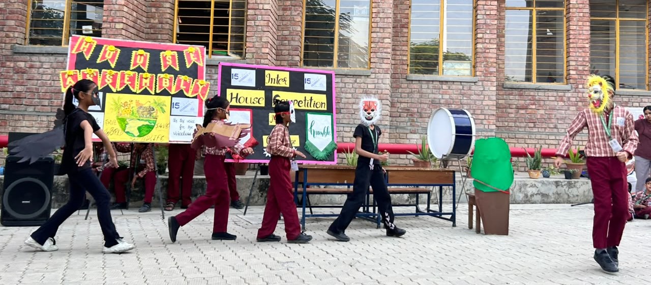 Stem Club