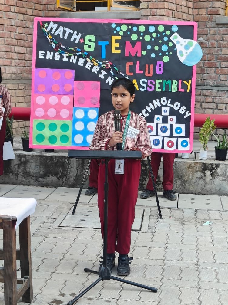 Stem Club